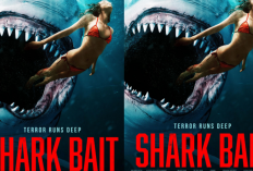 Sinopsis Film Shark Bait di Bioskop Trans TV Hari Ini 8 Desember 2024