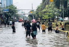 Cek Penyesuaian Rute TransJakarta Akibat Jalan Terendam Banjir