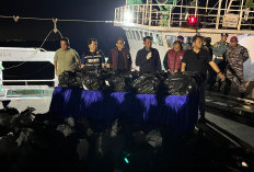 Penyelundupan 1,3 Ton Ketamine HCL Digagalkan, Disembunyikan di Lambung Kapal