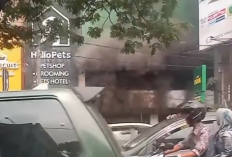 Oseng Endok Depok Kebakaran, Netizen Khawatir Api Merembet Bahayakan Anabul di Petshop Samping Resto