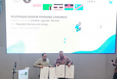 Indonesia Ekspor Vaksin Hewan ke Puluhan Negara, Vaksindo Tembus Pasar Afrika