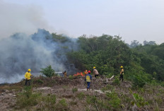 El Nino Picu Karhutla dan Kekeringan, Kementerian PU Turun Tangan di 3 Provinsi