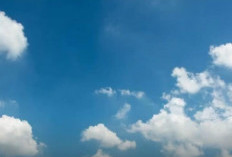 Update Informasi Prakiraan Cuaca Jakarta Hari Kamis, 5 Maret 2026: Didominasi Hujan!