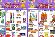 Katalog Promo Alfamart Minggu Ini 15-21 Desember 2025, Diskon Sabun Sunlight Rp12 Ribu