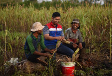 Borong 42 Penghargaan CSR Awards, Pertamina Dinobatkan Sebagai Perusahaan Bertanggung Jawab