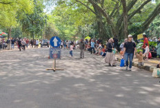 Pengunjung Ragunan Capai 100 Ribu Orang di Libur Tahun Baru