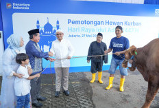 Iduladha Penuh Makna, BRI Group Bagikan Lebih dari 5.000 Hewan Kurban di Indonesia 