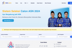 Link dan Cara Cek Pengumuman Hasil Seleksi Administrasi CPNS Kemenag dan Kemendikbud 2024