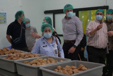 Pemangkasan hingga MBG Libur Sabtu, SPPG Pastikan Kualitas Gizi Tetap Terjaga