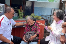 Polisi Tangkap Satu Lagi Tersangka Pengusiran dan Pembongkaran Rumah Nenek Elina!