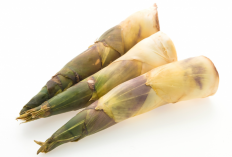 Ilmuwan Inggris Sebut Rebung Bakal Jadi Superfood Masa Depan, Ini Kandungannya 