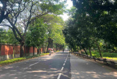 Penjual Kopi Keliling Mengharap Cuan Meski Taman Mini Sepi di Libur Natal