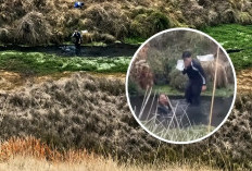 Viral! Dua Pendaki Diduga Mandi Pakai Sabun di Mata Air Qolbu Gunung Argopuro, Ditegur Tetap Ngeyel