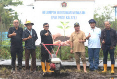 Ketua PWI Pusat Dukung Ketahanan Pangan Lewat Program Wartawan Menanam di Kalsel