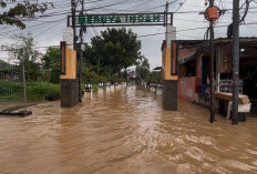 Hujan Deras Sejak Malam Bikin Perumahan Meruya Indah Banjir