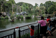 Sambut Tahun 2025, Kebun Binatang Ragunan Akan Tambah Koleksi Satwa Baru Endemik Indonesia