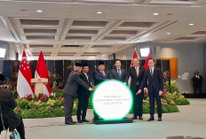 Indonesia-Singapura Sepakati Ekspor Energi Bersih dan Bangun Kawasan Industri
