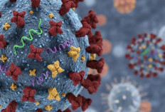 FAKTA! 62 Orang di Indonesia Tertular Super Flu Subclade K, Gejalanya Sakit Tenggorokan