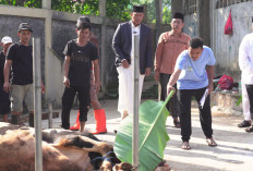 Dirut Bulog: Idul Adha Jadi Momentum Saling Berbagi di Tengah Tekanan Ekonomi Global