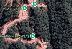 Geger Ada Aktivitas Tambang Ilegal di Lereng Gunung Slamet, Satgas PKH Buka Suara!