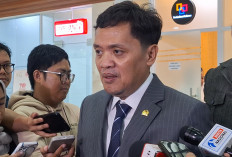 Balas Dino Pati Djalal, Habiburokhman: Tak Etis Mantan Wamenlu Kritik Kinerja Pemerintahan Prabowo