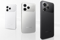 7 HP Murah Harga Rp2 Jutaan Terbaik Februari 2026: RAM Besar, Kamera Bagus, Gaming Lancar!