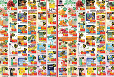 Katalog Promo Superindo Minggu Ini 5-8 Januari 2026, Sania Minyak Goreng 2L Hanya Rp36 Ribuan