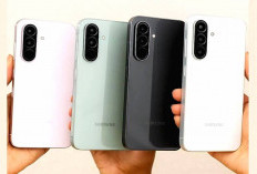 12 HP Paling Laris di Indonesia Kuartal II 2026, dari 1 Jutaan hingga Flagship