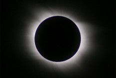 Besok! Kemenag Ajak Umat Islam Untuk Shalat Gerhana Bulan