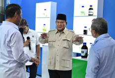 Prabowo Ungkap Banyak Menteri hingga Kepala Lembaga Ambruk Masuk Rumah Sakit karena Kerja Keras 