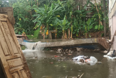 Tanggul 'Baswedan' Ambruk, Rumah dan Sekolah di Jati Padang Terendam Air