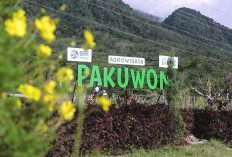 Desa Pajambon Jadi Bukti Nyata Transformasi Ekonomi Desa Lewat Program Desa BRILiaN