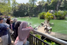 Hindari Keramaian, Warga Pilih Ragunan di Hari Biasa
