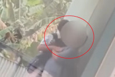 Heboh Video Mahasiswa Sesama Jenis Ciuman di Selasar Perpustakaan PNJ, BEM Ambil Sikap Tegas