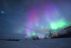Ada Fenomena Aurora Borealis di Langit Amerika dan Eropa, Kenapa di Indonesia Tidak Muncul?