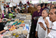 Jelang 47 Hari Pemerintahannya Berakhir, Jokowi Pamit pada Warga Deli Serdang