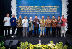 LPDB Kawal Hilirisasi Tebu, Koperasi Ambil Peran Strategis di Industri Gula Nasional
