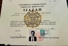 Peradi Bersatu Berencana Temui Jokowi Terkait Kasus Dugaan Ijazah Palsu 