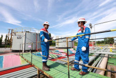 Pengamat Minta Pemilihan Pimpinan Merger 3 Anak Usaha Pertamina Dilakukan Secara Hati-hati