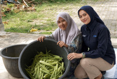 Jeli Lihat Peluang, Nasabah PNM Mekaar Sulap Sampah Pasar Jadi Usaha Beromzet Jutaan