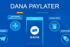 Bonus Saldo DANA Gratis Rp575.000 Bisa Cair Lewat Fitur DANA Paylater, Begini Caranya!