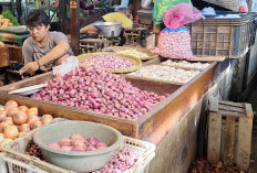 KPKP DKI Ungkap Penyebab Lonjakan Harga Bawang Merah di Jakarta