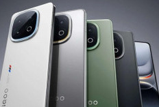 30 HP Terbaik Februari 2026: Mulai dari Harga Rp1-20 Jutaan, Ini Paling Worth It!