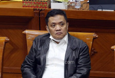Wakil Ketua Gerindra: Konsep Oposisi Tak Dikenal dalam Konstitusi Indonesia