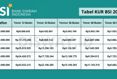 Butuh Tambahan Operasional? KUR BSI 2025 Jadi Solusi Tepat Tawarkan Pinjaman Rp50-Rp200 Juta Tanpa Agunan 