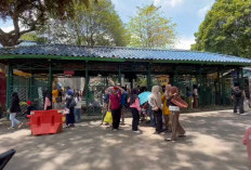 H+3 Lebaran 2026, Ragunan Diserbu Pengunjung Lebih dari 72 Ribu Wisatawan