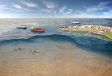 Blok Masela Fokus Pasok Dalam Negeri, 60 Persen Gas untuk Kebutuhan Domestik