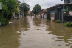 Tanggul Kali Angke Jebol! Ratusan Rumah di Pinang Griya Terendam Banjir
