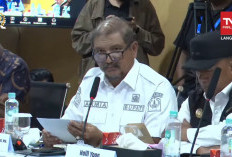 Tumpukan Kayu Sisa Banjir Mau Diapakan? Bupati Aceh Tamiang Tanya Menhut