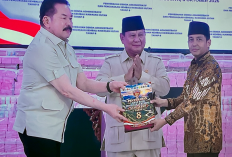 6,2 Juta Hektare Hutan Kembali Dikuasai Negara, Mayoritas dari Sawit